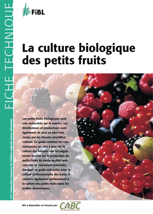 La culture biologique des petits fruits