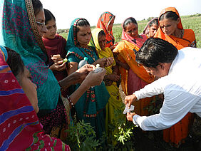 Eine Gruppe von neun indischen Bäuerinnen in farbigen Saris stehen in einem Feld und sehen zu, wie ein indischer Experte an einer Baumwollpflanze etwas zeigt.