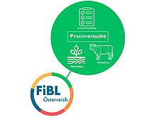 Grafik Praxisversuche