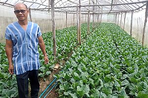 Man standing next to his vegetable crop in a greenhouse