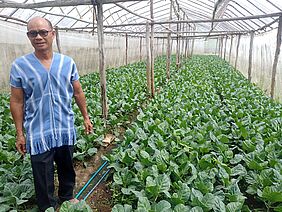 Man standing next to his vegetable crop in a greenhouse