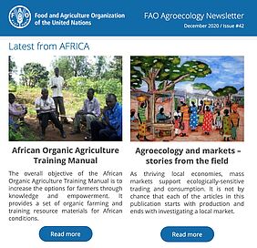 A screenshot of the FAO Newsletter