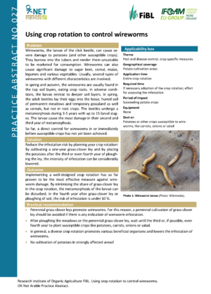 Using crop rotation to control wireworms