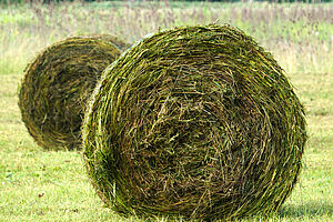 Hay bales