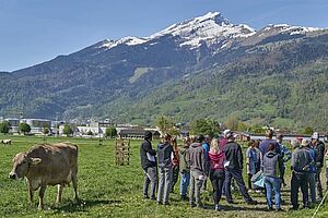 Eine Gruppe von Menschen und eine Kuh vor Bergpanorama