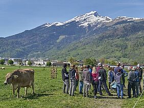 Eine Gruppe von Menschen und eine Kuh vor Bergpanorama