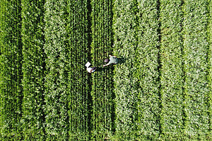Zwei Menschen auf einem Feld.
