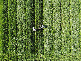 Zwei Menschen auf einem Feld.