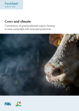 Cows and climate