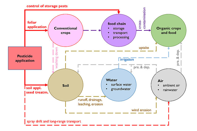 What impact does environmental pesticide contamination have on ... Biology Diagrams