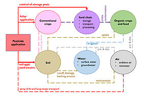 Graphic showing the distribution of pesticides between the environment and the food chain