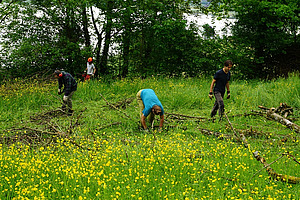 Vier Menschen sind auf einem Feld und sammeln Äste auf.