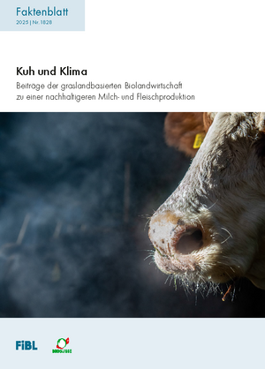 Kuh und Klima