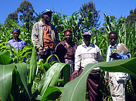 kenianische Bauerngruppe