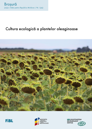 Cultura ecologică a plantelor oleaginoase