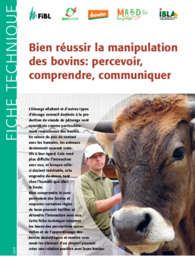 Cover guide technique: Bien réussir la manipulation des bovins: percevoir, comprendre, communiquer
