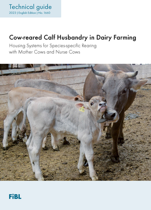 Mother-bonded and Fostered Calf Rearing in Dairy Farming