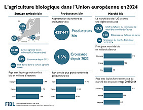 Infographie sur l'agriculture biologique dans l'Union européenne en 2024.
