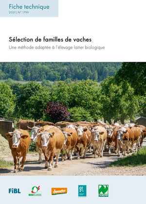 Sélection de familles de vaches
