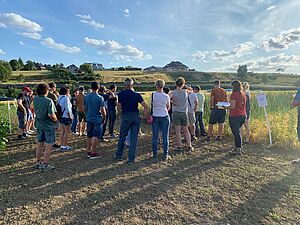 Gruppe von Menschen steht in der Sonne vor einem Versuchsfeld im Ackerbau