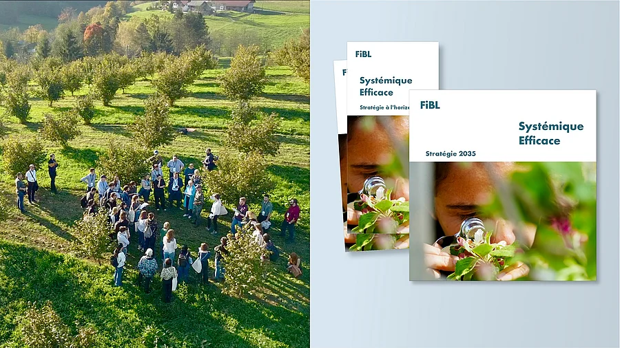 Une Brochure et un dépliant accompagnés d'une photo d'un champ agroforestier avec des personnes.
