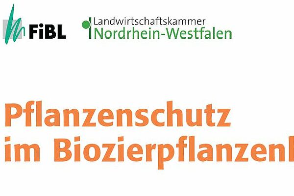Ausschnitt des  Titelbildes
