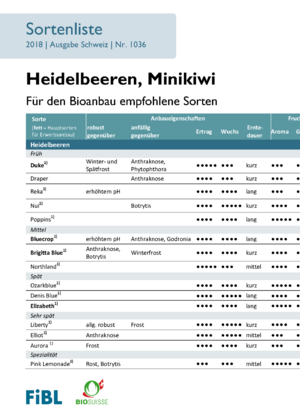 Sortenliste Heidelbeeren, Minikiwi