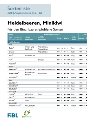 Sortenempfehlung Heidelbeeren, Minikiwi