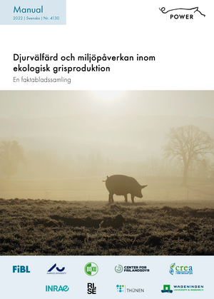 Djurvälfärd och miljöpåverkan inom ekologisk grisproduktion