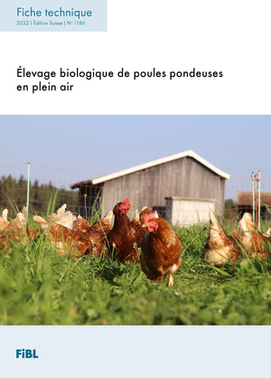 Élevage biologique de poules pondeuses en plein air