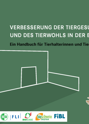 Verbesserung der Tiergesundheit und des Tierwohls in der Bioschweinehaltung