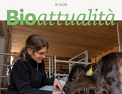 Cover Bioattualità 4/25.