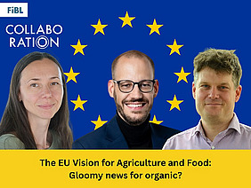 Three people in front of the EU flag.