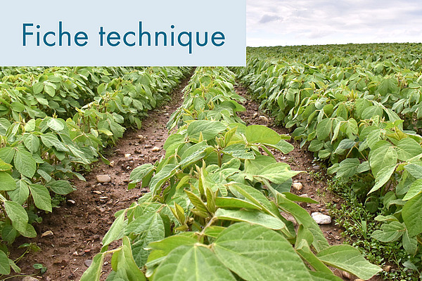 Photo de couverture.