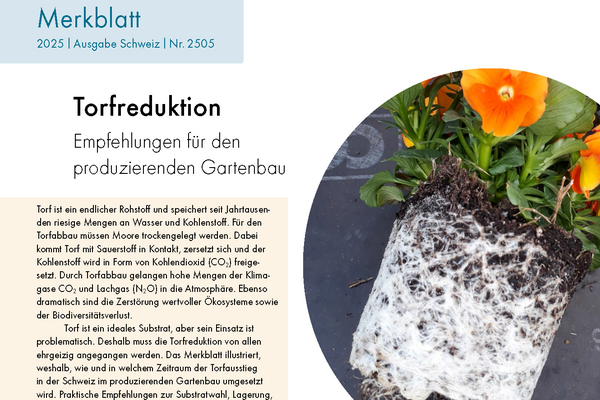 Cover Merkblatt