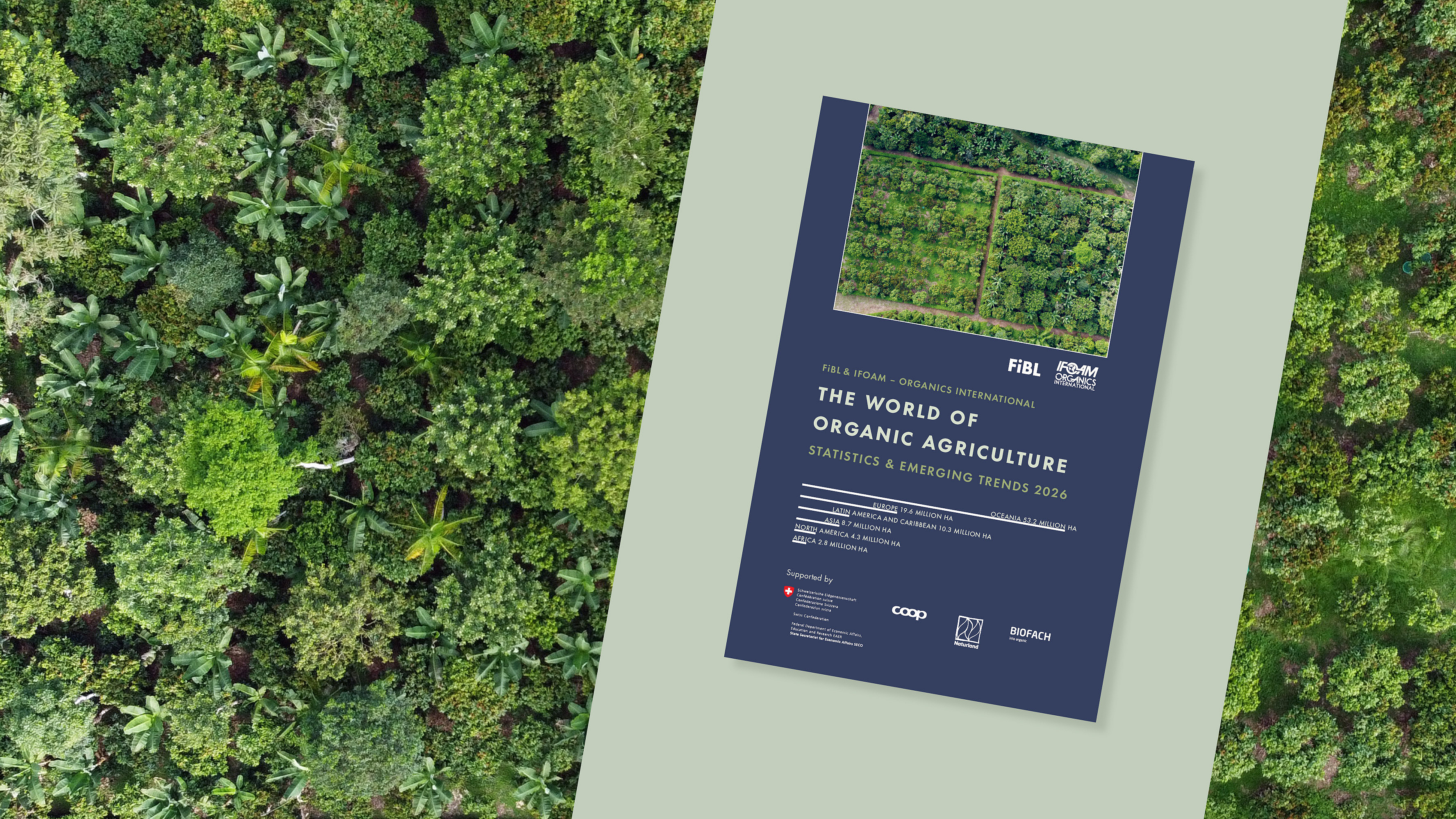 Cover des Buches, im Hintergrund ein Vergleich von Kakao-Agroforst und Kakao-Monokultur.