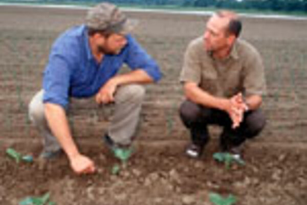 © BLE, Bildautor: Thomas Stephan Landwirt mit Berater auf dem Acker
