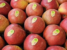 Äpfel mit Biosticker.