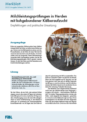 Milchleistungsprüfung in Herden mit kuhgebundener Kälberaufzucht