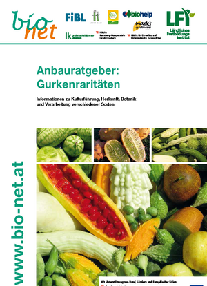 Anbauratgeber: Gurkenraritäten