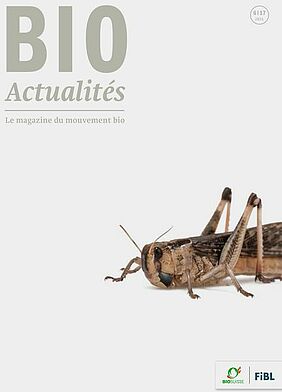 Page de couverture du dernier Bioactualités. Représentation d'un grillon sur fond blanc.