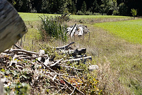 Strukturreiche Wiese mit Asthaufen und weiteren Elementen. 