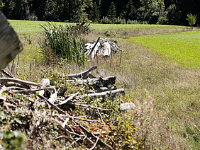 Strukturreiche Wiese mit Asthaufen und weiteren Elementen. 