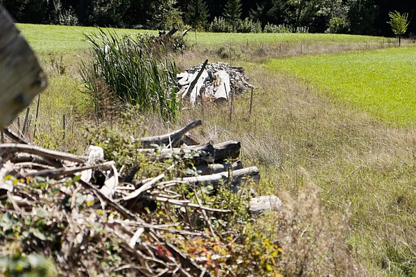 Strukturreiche Wiese mit Asthaufen und weiteren Elementen. 