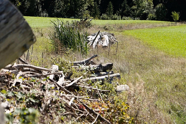 Strukturreiche Wiese mit Asthaufen und weiteren Elementen. 