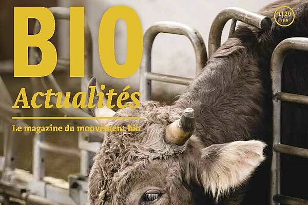 Cover Bioactualités 2/20