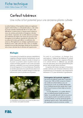 Cover: Cerfeuil tubéreux