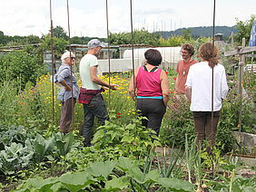 Des personnes dans un jardin urbain