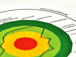 Diagramm zu Unternehmensführung