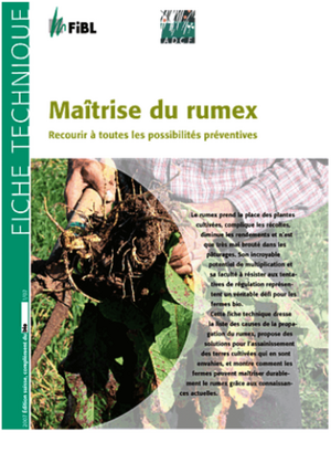 Maîtrise du rumex